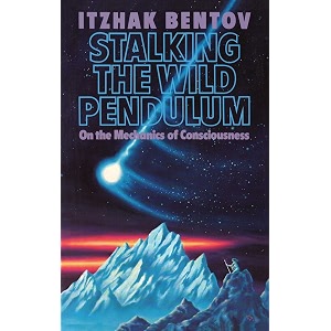 stalking the wild pendulum on the mechanics of consciousness