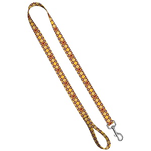 standard leash 134 x 439 iowa state - cy on argyle