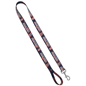 standard leash 134 x 439 university of illinois - smoke