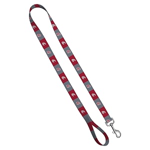 standard leash 134 x 439 washington state - redgrey box logo