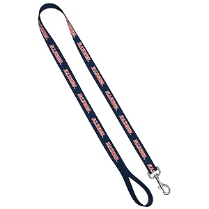 standard leash 134 x 639 university of illinois - on blue