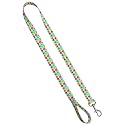 Standard Leash 1" x 6', Pet Pizazz
