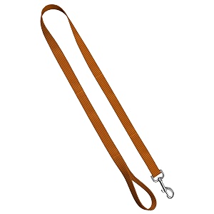 standard leash 3434 x 439 pumpkin