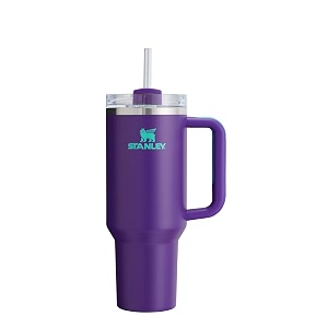 stanley deep purple quencher h20 flowstate stainless steel vacuum insulated tumbler with lid and straw for water iced tea or coffee deep purple 30 oz