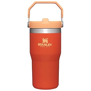 stanley iceflow flip straw tumbler 20oz tigerlily