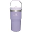 Stanley IceFlow Flip Straw Tumbler with Handle 20 oz | Twist On Lid and Flip Up Straw | Leak Resistant Water Bottle | Insulated Stainless Steel |BPA-Free | Lavender