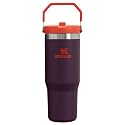 Stanley IceFlow Flip Straw Tumbler with Handle 30 oz | Twist On Lid and Flip Up Straw | Leak Resistant Water Bottle | Insulated Stainless Steel |BPA-Free | Plum