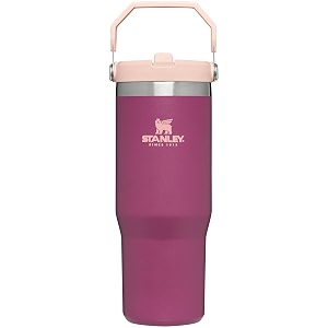 stanley iceflow flip straw tumbler 30oz raspberry