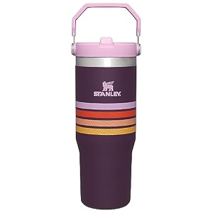 stanley iceflow stainless steel tumbler - vacuum insulated water bottle for home office or car reusable cup with straw leak resistant flip cold for 12 hours or iced for 2 days plum stripe 30oz