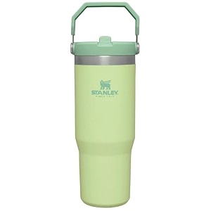 stanley iceflow stainless steel water bottle vacuum insulated water bottle for home office or car reusable with straw leak resistant flip the cold for 12 hours or icy for