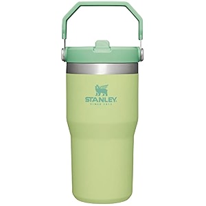 stanley iceflow flip straw tumbler with handle 20 oz  twist on lid and flip up straw  leak resistant water bottle  insulated stainless steel bpa-free  citron