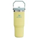 Stanley IceFlow Flip Straw Tumbler with Handle 30 oz | Twist On Lid and Flip Up Straw | Leak Resistant Water Bottle | Insulated Stainless Steel |BPA-Free | Pomelo