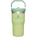 Stanley IceFlow Flip Straw Tumbler with Handle 20 oz | Twist On Lid and Flip Up Straw | Leak Resistant Water Bottle | Insulated Stainless Steel |BPA-Free | Citron