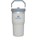 Stanley IceFlow Flip Straw Tumbler with Handle 20 oz | Twist On Lid and Flip Up Straw | Leak Resistant Water Bottle | Insulated Stainless Steel |BPA-Free | Fog