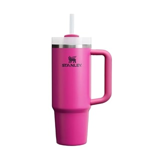 stanley quencher h20 flowstate stainless steel vacuum insulated tumbler with lid and straw for water fuchsia 30 oz