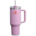 STANLEY Quencher H2.0 FlowState Stainless Steel Vacuum Insulated Tumbler with Lid and Straw for Water, Iced Tea or Coffee (Amethyst, 40 oz)
