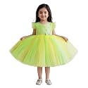 Stanwells Kids Baby Girl Peacock Blue Net