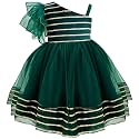 Stanwells Kids Baby Girl Peacock Blue Net