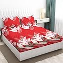 Fitted Bedsheet, Elastic Fitted Bedsheets King Size, Bedsheet for Double Bed Elastic Fitted,160 TC ezyption Cotton Premium Floral Fitted Bedsheet with 2 Pillow Cover(78x72 Inches Red Leaf