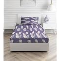 Glace Cotton Single Bedsheet with 1 Pillow Covers | Soft Thread Count 160 Brushed Ezyption Cotton -Long Lasting &amp; Wrinkle Free