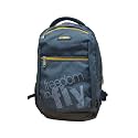 STARX BP-AD-02 25L Grey Casual Backpack 18 inch for men and boys
