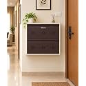 StayHappy Wide Wall-Mounted MS Shoe Rack | Key Lock | Compact Design | Thick Metal Layer for Durability | Powder-Coated Steel (Dark Brown, 2 Door)