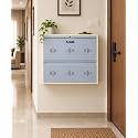 StayHappy Wide Wall-Mounted MS Shoe Rack | Key Lock | Compact Design | Thick Metal Layer for Durability | Powder-Coated Steel (Silver, 2 Door)