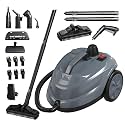Steam Cleaner, Powerful Heavy Duty Canister Steamer with 34 Accessories, Steam Mop with 16.4 Ft Extra-Long Power Cord for Home Floor Cleaning, Grout, Upholstery, Car Detailing, Grey