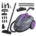 Steam Cleaner, Powerful Heavy Duty Canister Steamer with 34 Accessories, Steam Mop with 16.4 Ft Extra-Long Power Cord for Home Floor Cleaning, Grout, Upholstery, Car Detailing, Purple