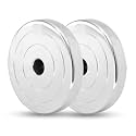 Steel Weight Plate Set Chrome Plated (2.5Kg Pack of 10) (Total Weight 25 KG),Weight Plates For Curls, Straight Bar, Spare Weight Plates, Iron Plate For Weightlifting Strength Training (2.5x10)