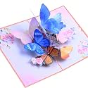 Steelhill 3D Pop Up Cards,Butterfly Greeting Cards for Women,Valentines Day Gifts Card with Envelope for Mother's Day Thinking of You Card for Wife,Girlfriend,Friends(Butterfly flying card)
