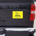 No Step on Snek Decal (7 Inch - Truck Size)