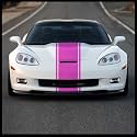 Sticker Connection | Racing Stripes | Hood Rally Vinyl Race Stripes | (12"x72", Pink)