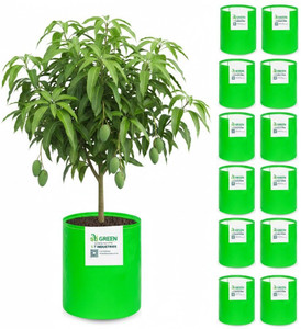 stigreen premium hdpe 24x36 grow bag 260 gsm for home gardening grow bag
