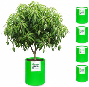 stigreen premium hdpe 24x36 grow bag 260 gsm for home gardening grow bag