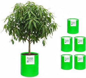 stigreen premium hdpe 24x36 grow bag 260 gsm for home gardening grow bag