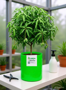 stigreen premium hdpe 24x36 grow bag 260 gsm for home gardening grow bag