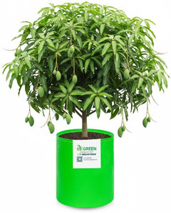 stigreen premium hdpe 24x36 grow bag 260 gsm for home gardening grow bag