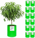 STIGREEN Premium HDPE 24x36 Grow Bag 260 GSM For Home Gardening Grow Bag