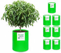 STIGREEN Premium HDPE 24x36 Grow Bag 260 GSM For Home Gardening Grow Bag