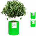 STIGREEN Premium HDPE 24x36 Grow Bag 260 GSM For Home Gardening Grow Bag