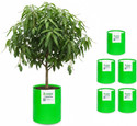 STIGREEN Premium HDPE 24x36 Grow Bag 260 GSM For Home Gardening Grow Bag