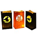 Stmarry 48 pcs Halloween Luminary Bags, Flame Resistant Luminaries, Orange and Black Tea Light Candle Bags - Witch, Black Cat Silhouette Decorations & Party Lanterns