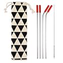 Store2508 Stainless Steel Straw Set with Silicone Tips and Cleaner (1 Set)