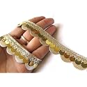 Strala Laces for Dresses, Sarees, Lehenga, Suits, Bags, Decorations, Borders, Crafts and Home Décor,Blouse (9 mtr) Design-252 (Light Golden)