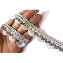 Strala Laces for Dresses, Sarees, Lehenga, Suits, Bags, Decorations, Borders, Crafts and Home Décor,Blouse (9 mtr) Design-252 (Silver)