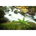 Stream Aquarium Background Rock River Green Grass Fish Tank Background Green Meadow Waterfall Big Rocks Reptile Tank Background Natural Streams Landscape Reptile Enclosure Backgrounds 48x18in
