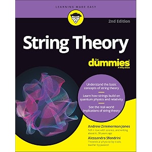 string theory for dummies the emerging leader39s guide to leading authentically in today39s workplace