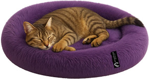 Stuffiva PBOVAS S Pet Bed PURPLE