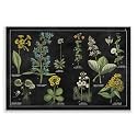Stupell Industries 'Antique Wild Flower Chart', Wall Plaque Art, 19 x 13 Inches, Easy to Hang and Sturdy, Made in USA, by Wild Apple Portfolio